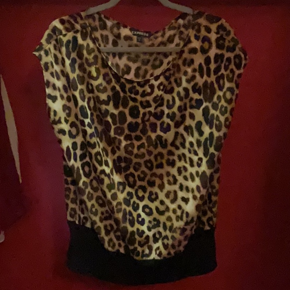 Express  pullover top